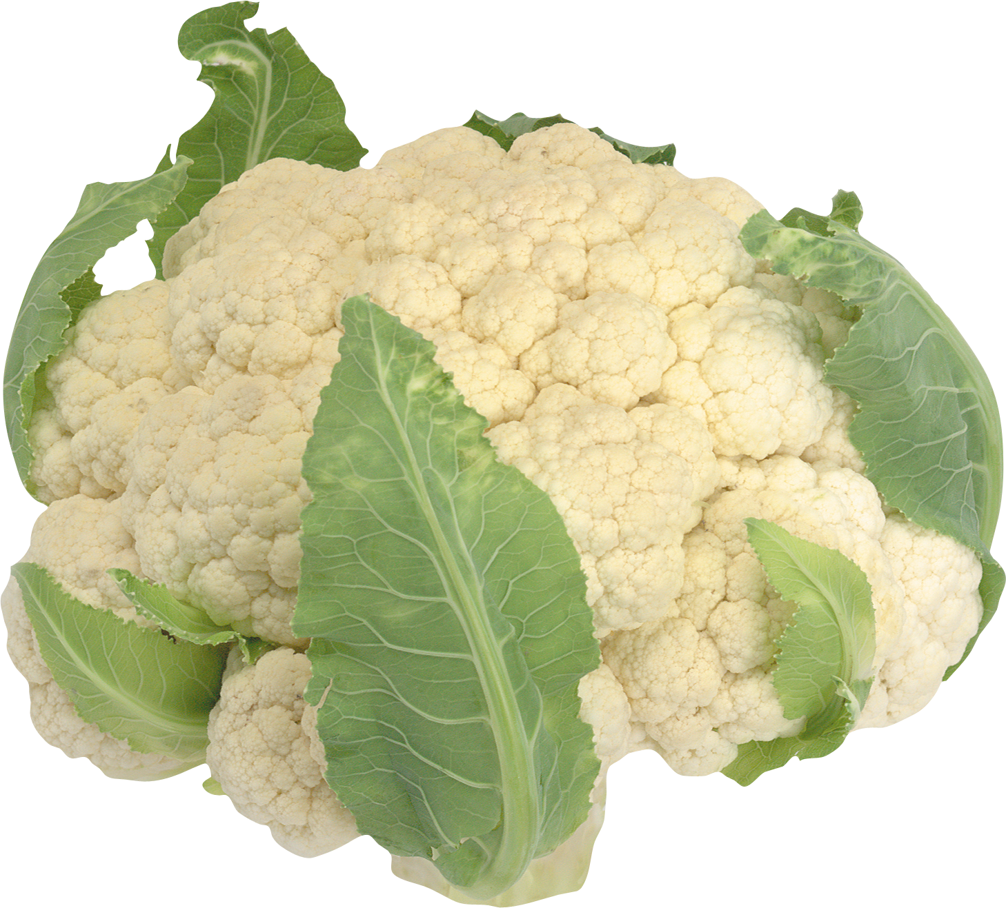 Fresh Cauliflowerwith Leaves.png