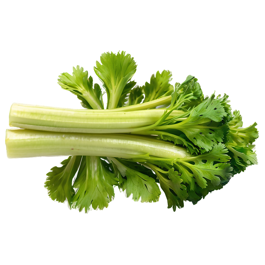 Fresh Celery Png Rok29