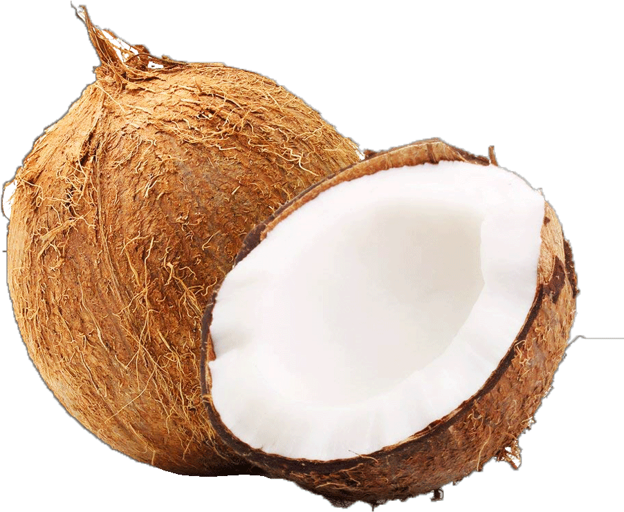 Fresh Coconut Half Transparent Background