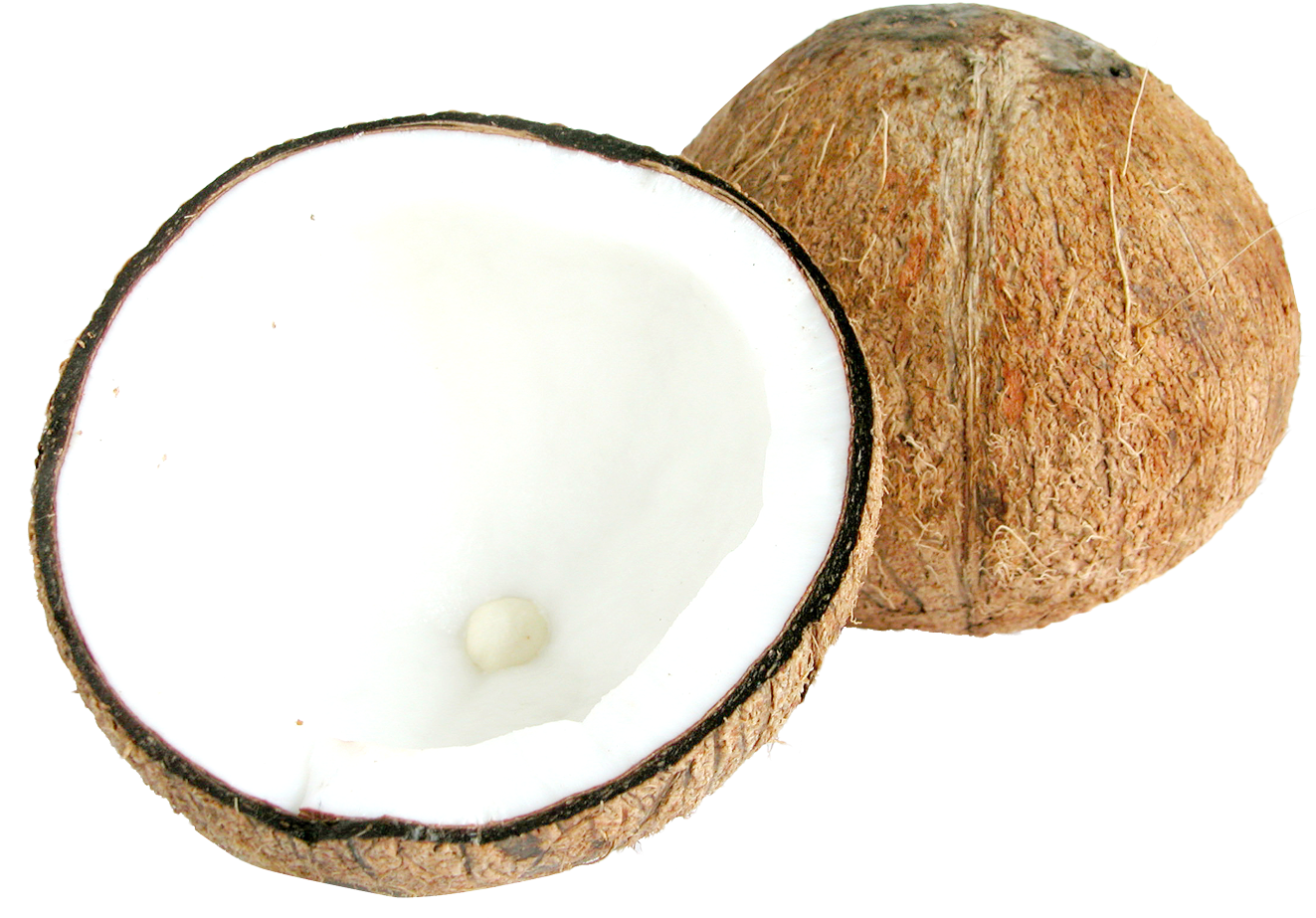 Fresh Coconut Halves