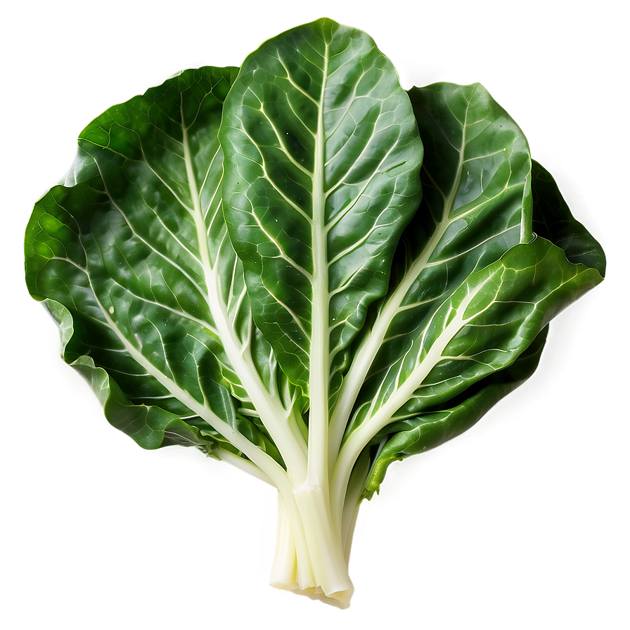 Fresh Collard Greens Png 06252024