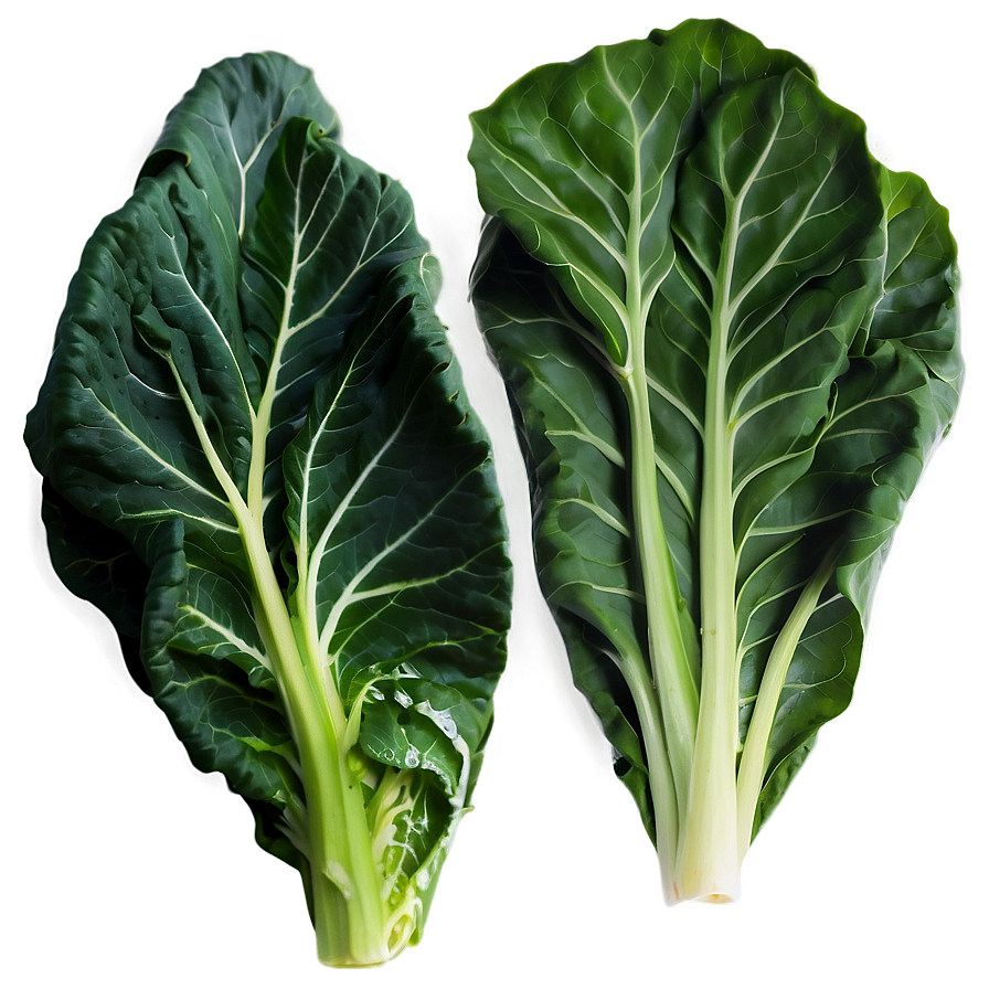 Fresh Collard Greens Png 06252024