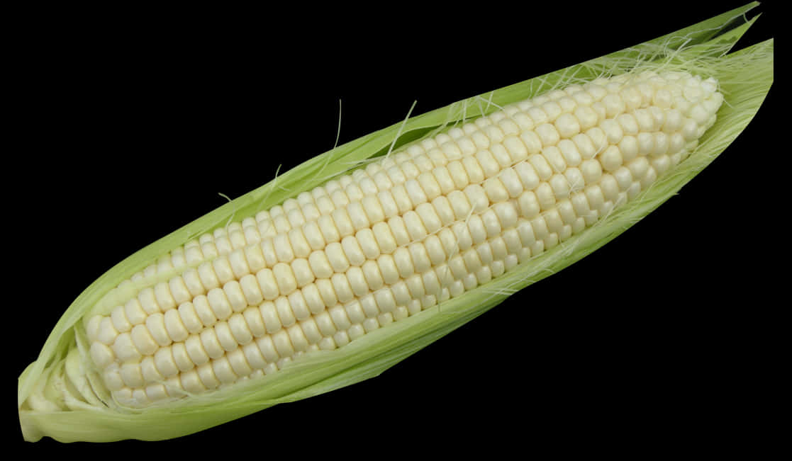 Fresh Corn Cobon Black Background.jpg