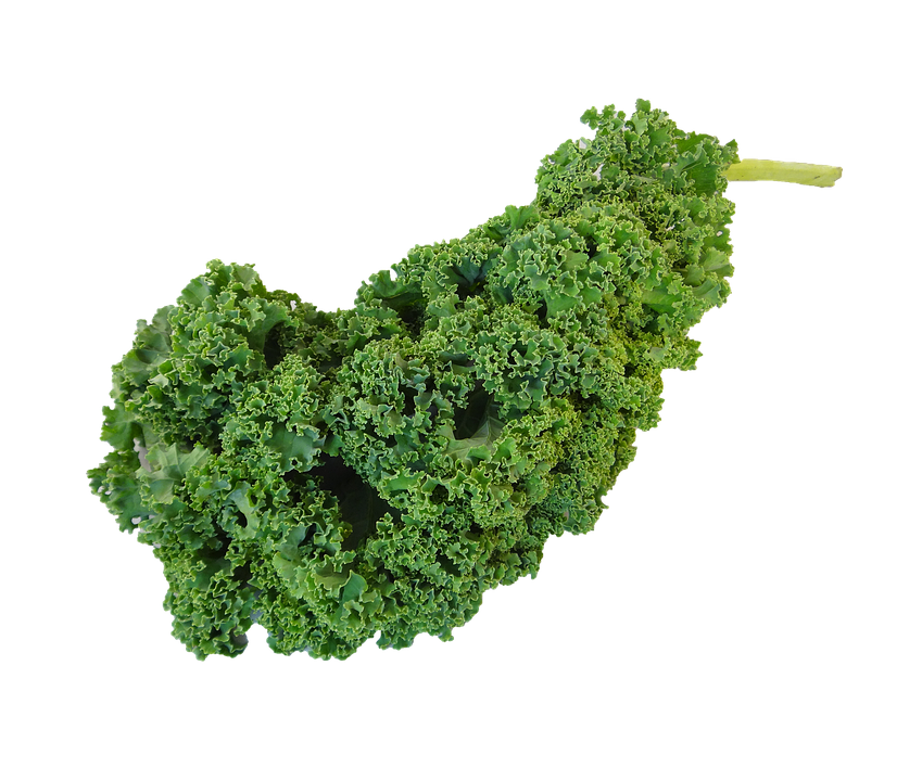 Fresh Curly Kale Leaf