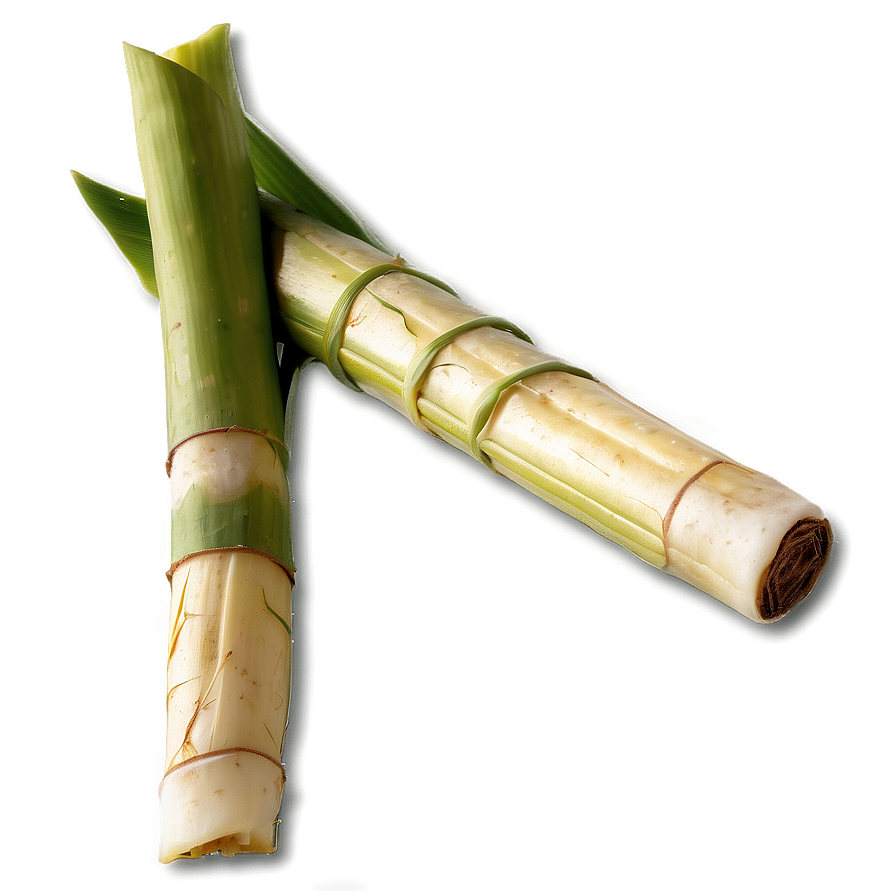 Fresh Cut Sugarcane Selection Png 06262024