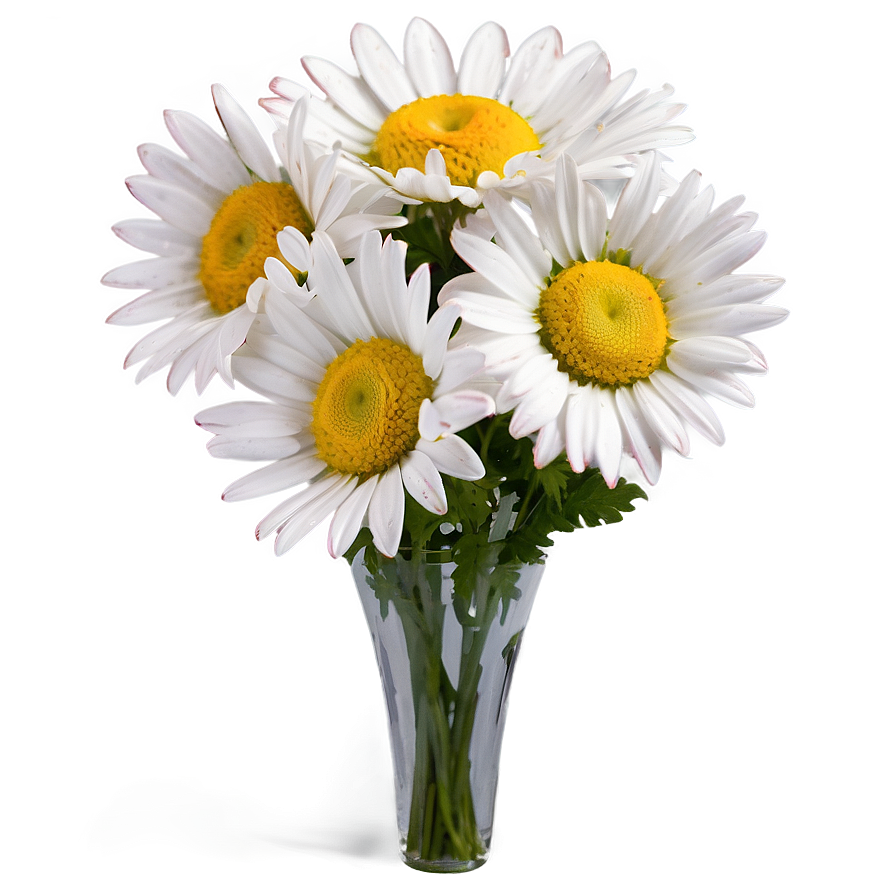 Fresh Daisy Bouquet Png 06122024