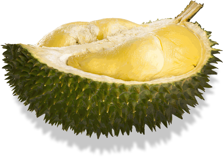 Fresh Durian Fruit Half Cut