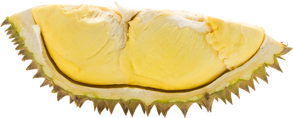 Fresh Durian Segment