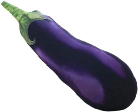 Fresh Eggplant Isolated