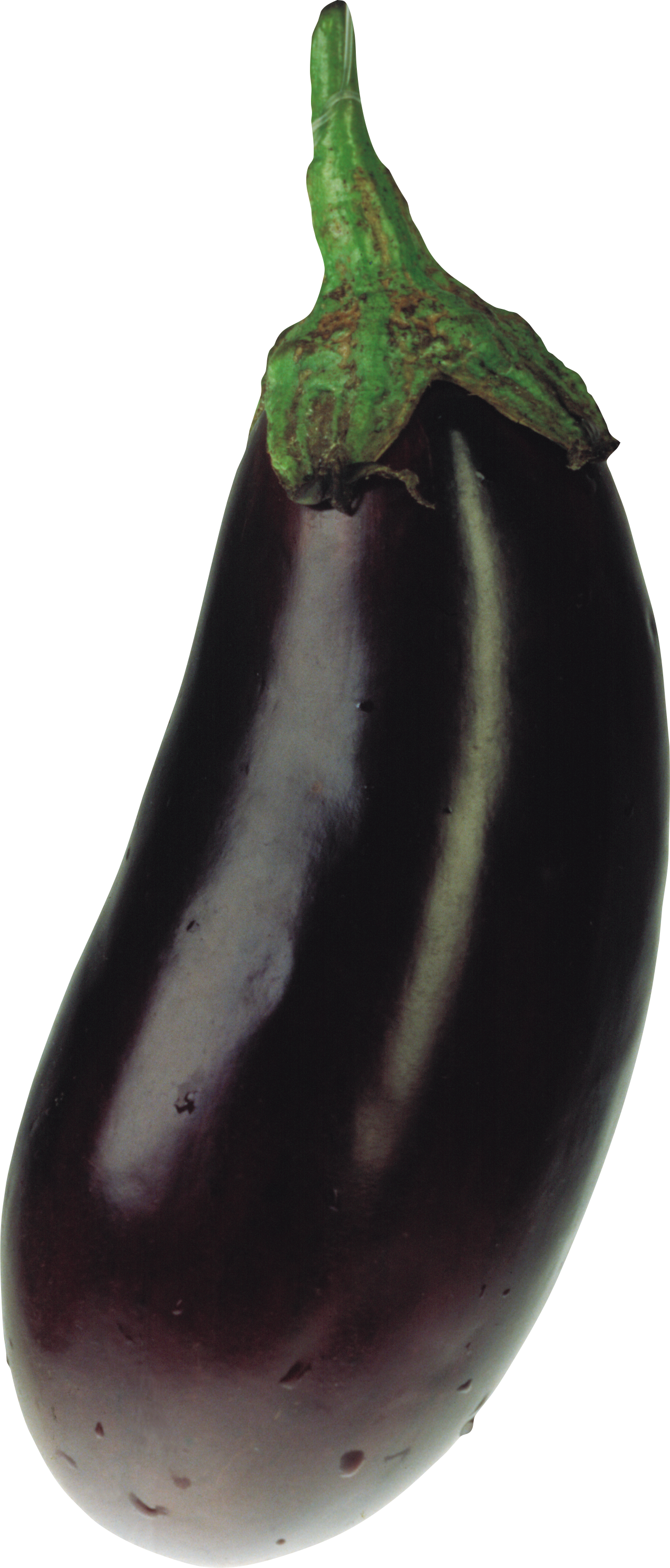 Fresh Eggplant Single Isolated