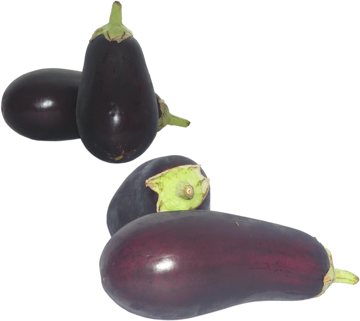 Fresh Eggplants Variety