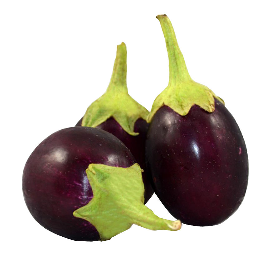 Fresh Eggplantson Neutral Background