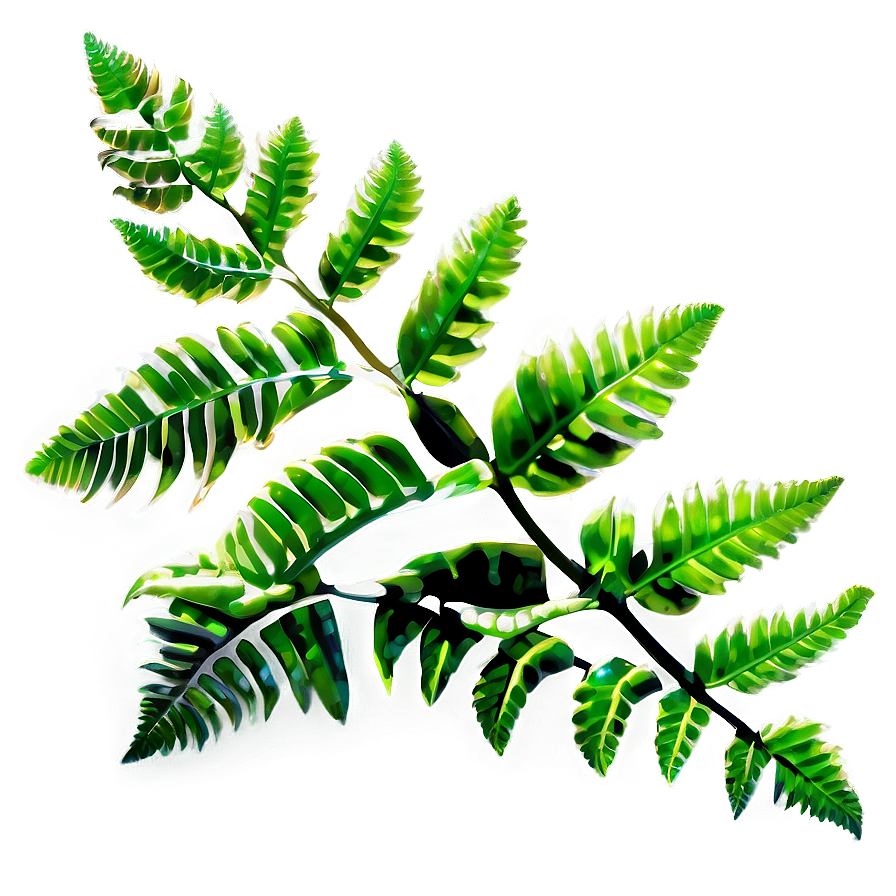 Fresh Fern Leaf Texture Png 06282024