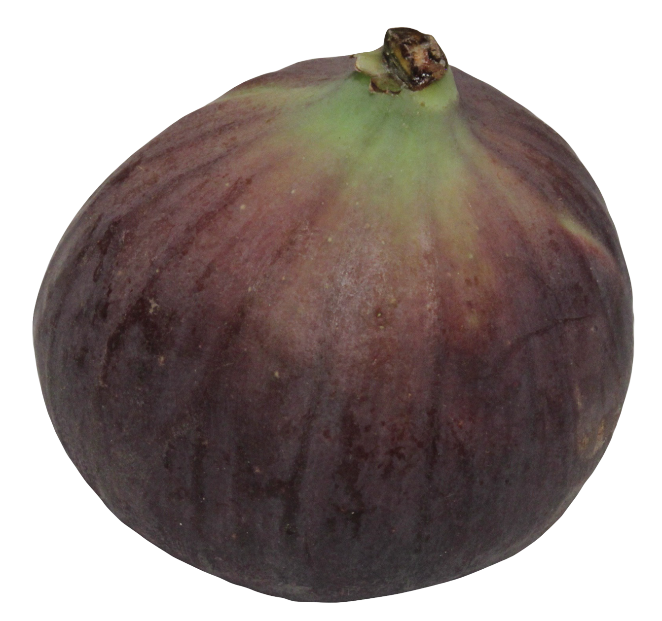 Fresh Fig Fruit Isolated