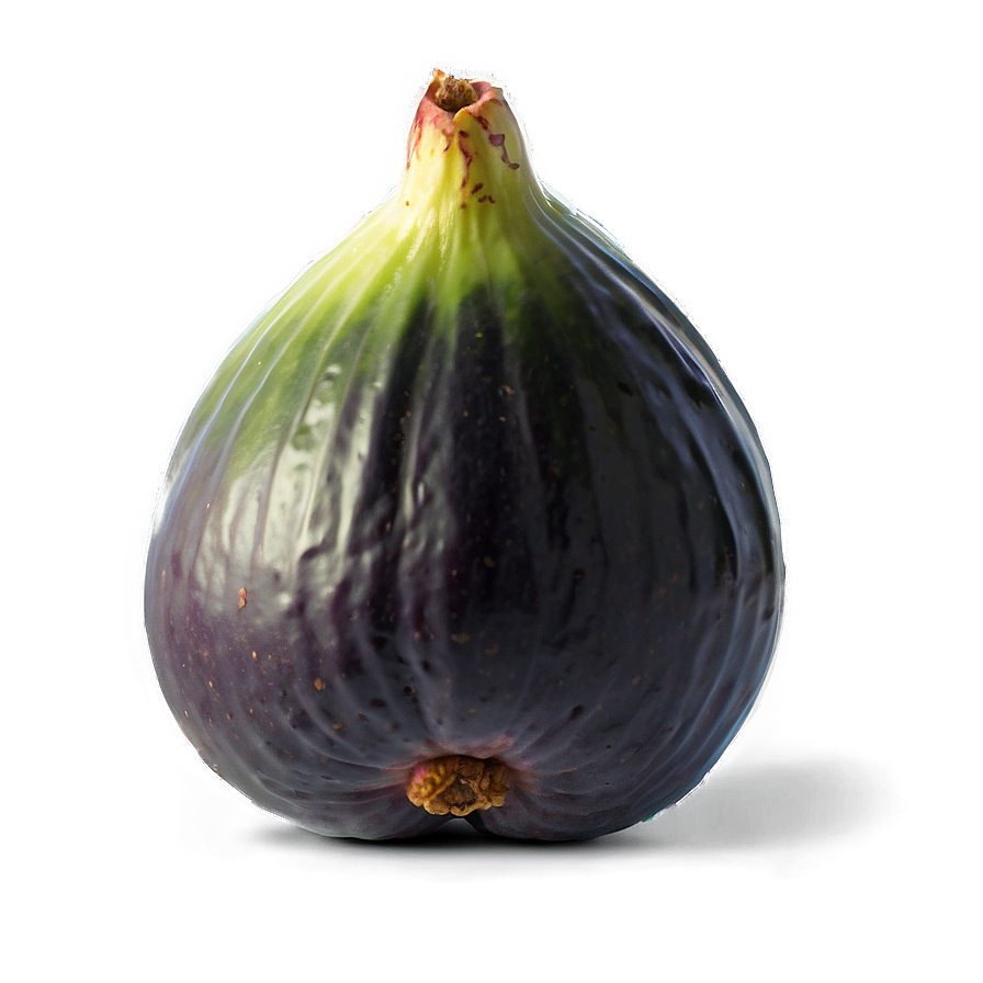 Fresh Fig Fruit Png 38