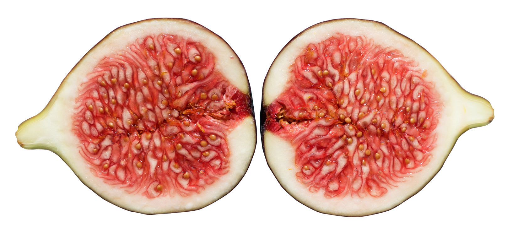 Fresh Fig Halves Cut Open