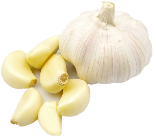 Fresh Garlic Bulband Cloves.png