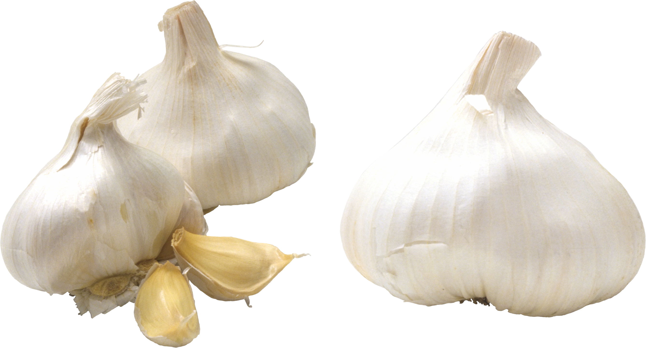 Fresh Garlic Bulbsand Cloves.png