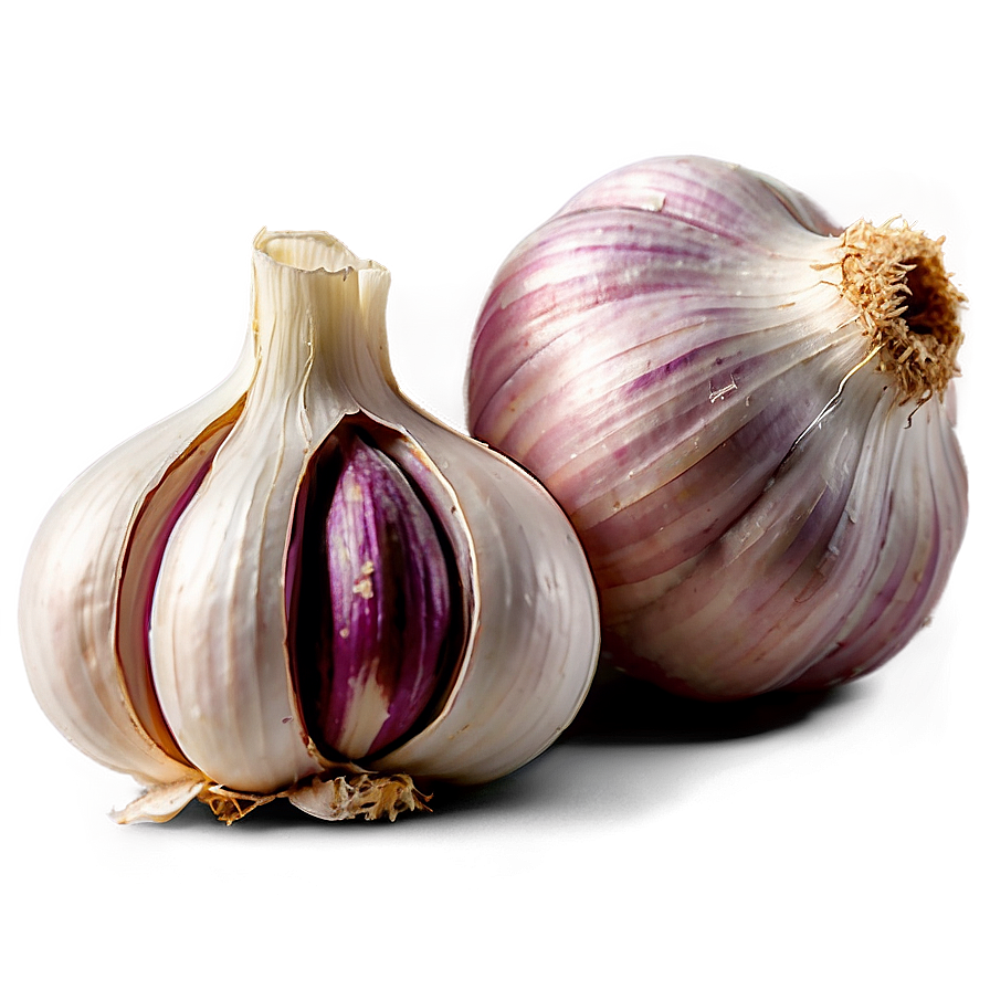 Fresh Garlic Png 95