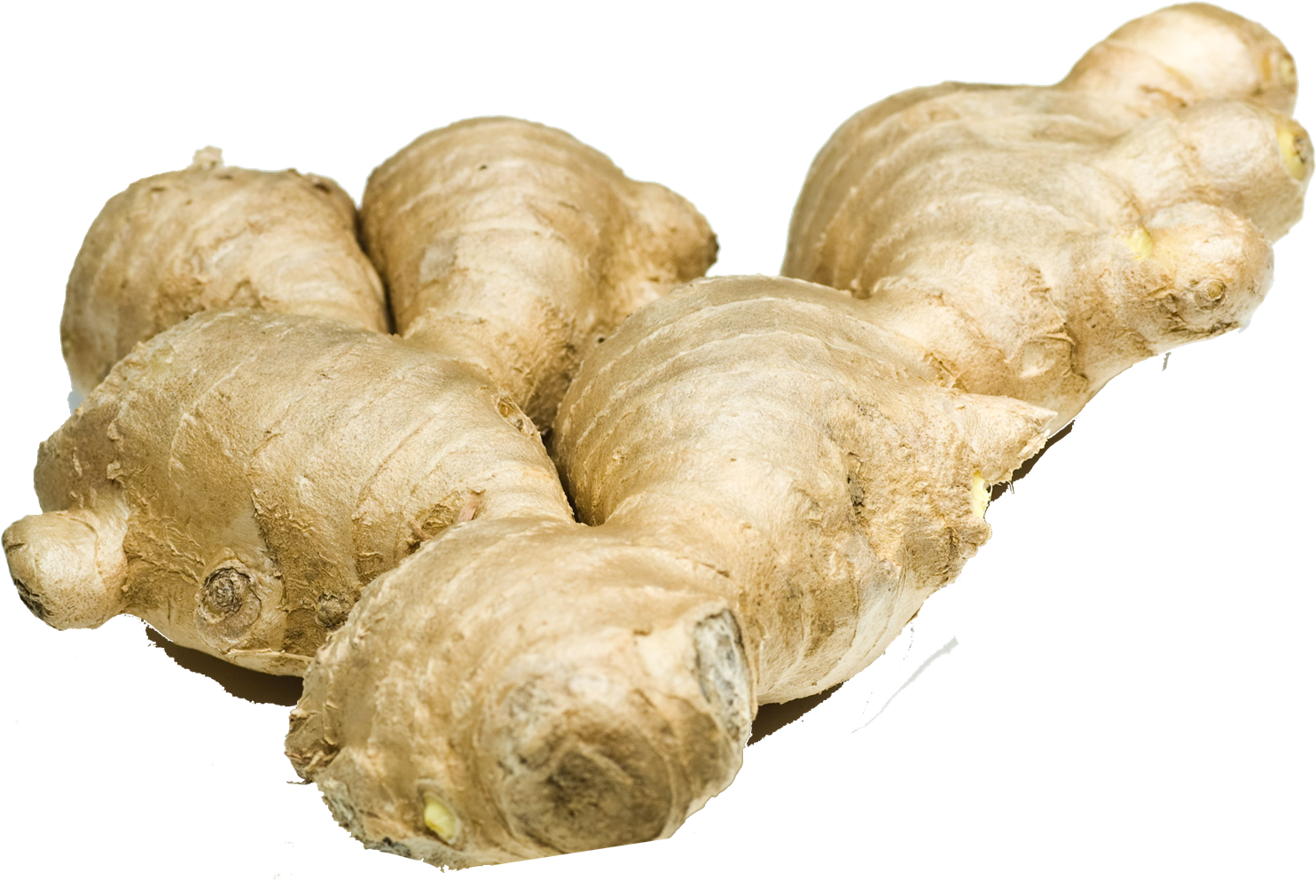 Fresh Ginger Root Isolated.png