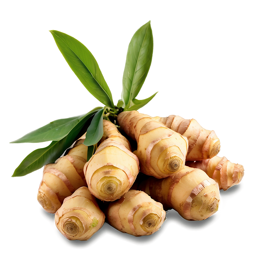 Fresh Ginger Root Png 06202024