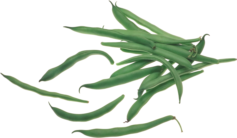 Fresh Green Beans Isolated