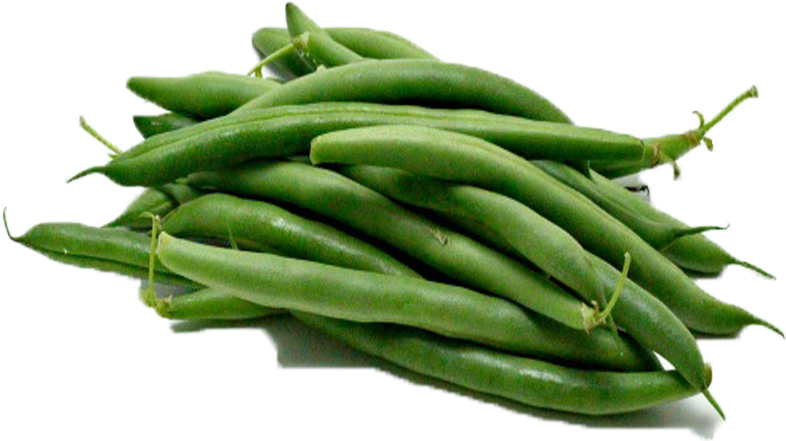 Fresh Green Beans P N G Transparent Background