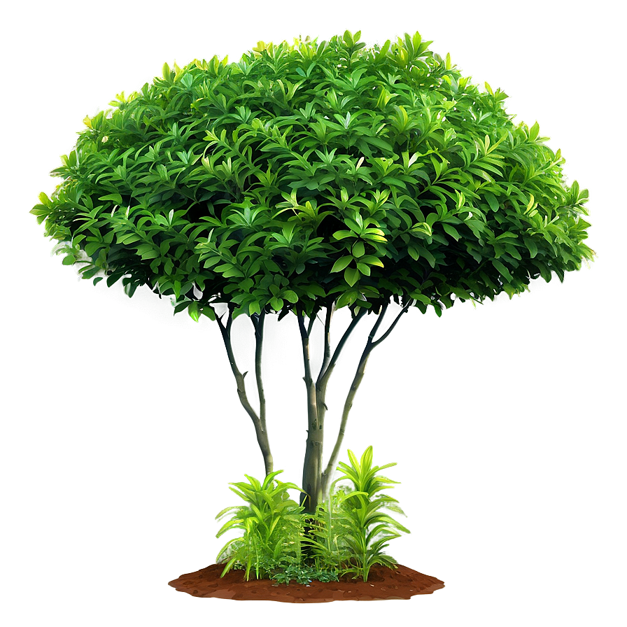 Fresh Green Bush Png 15