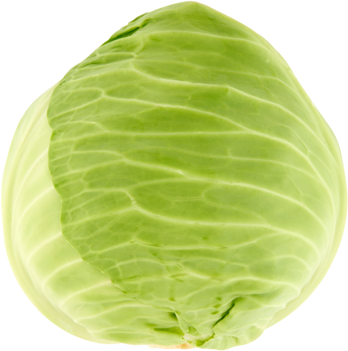 Fresh Green Cabbage Isolated