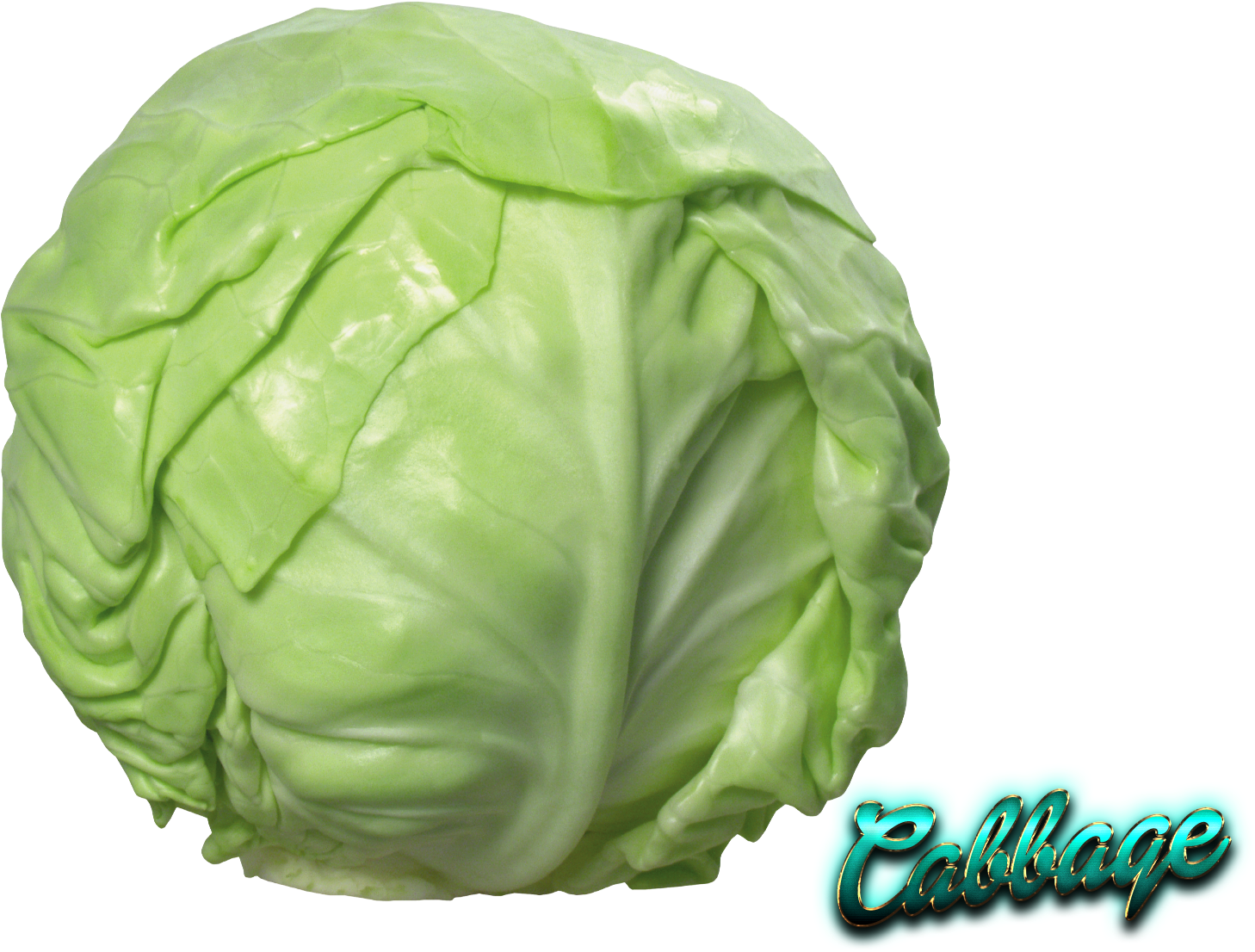 Fresh Green Cabbage