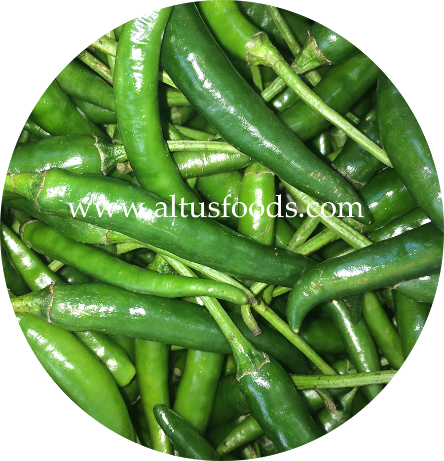 Fresh Green Chili Peppers Batch