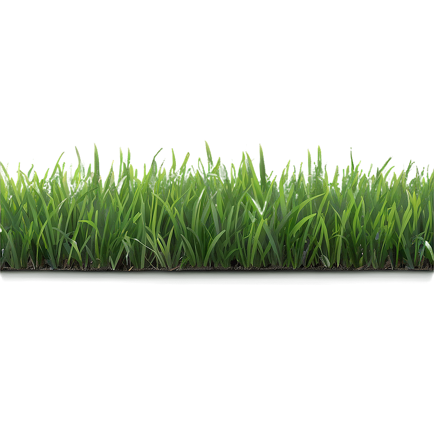 Fresh Green Grass Png 38