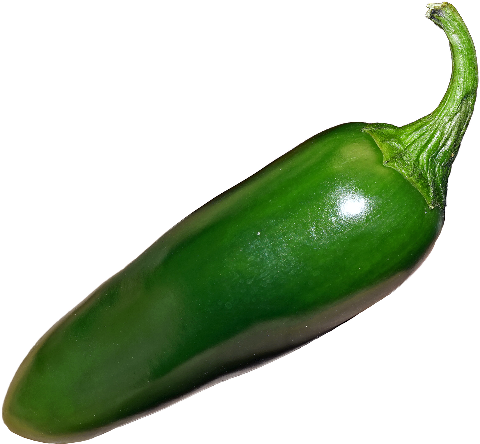 Fresh Green Jalapeno Pepper