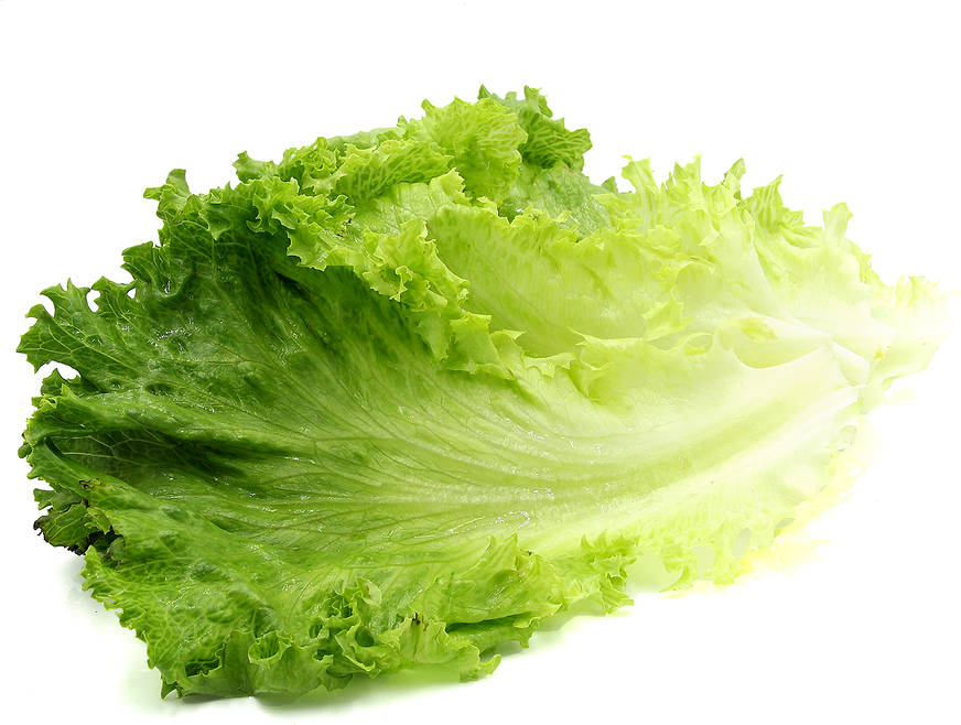 Fresh Green Lettuce Leaves.png