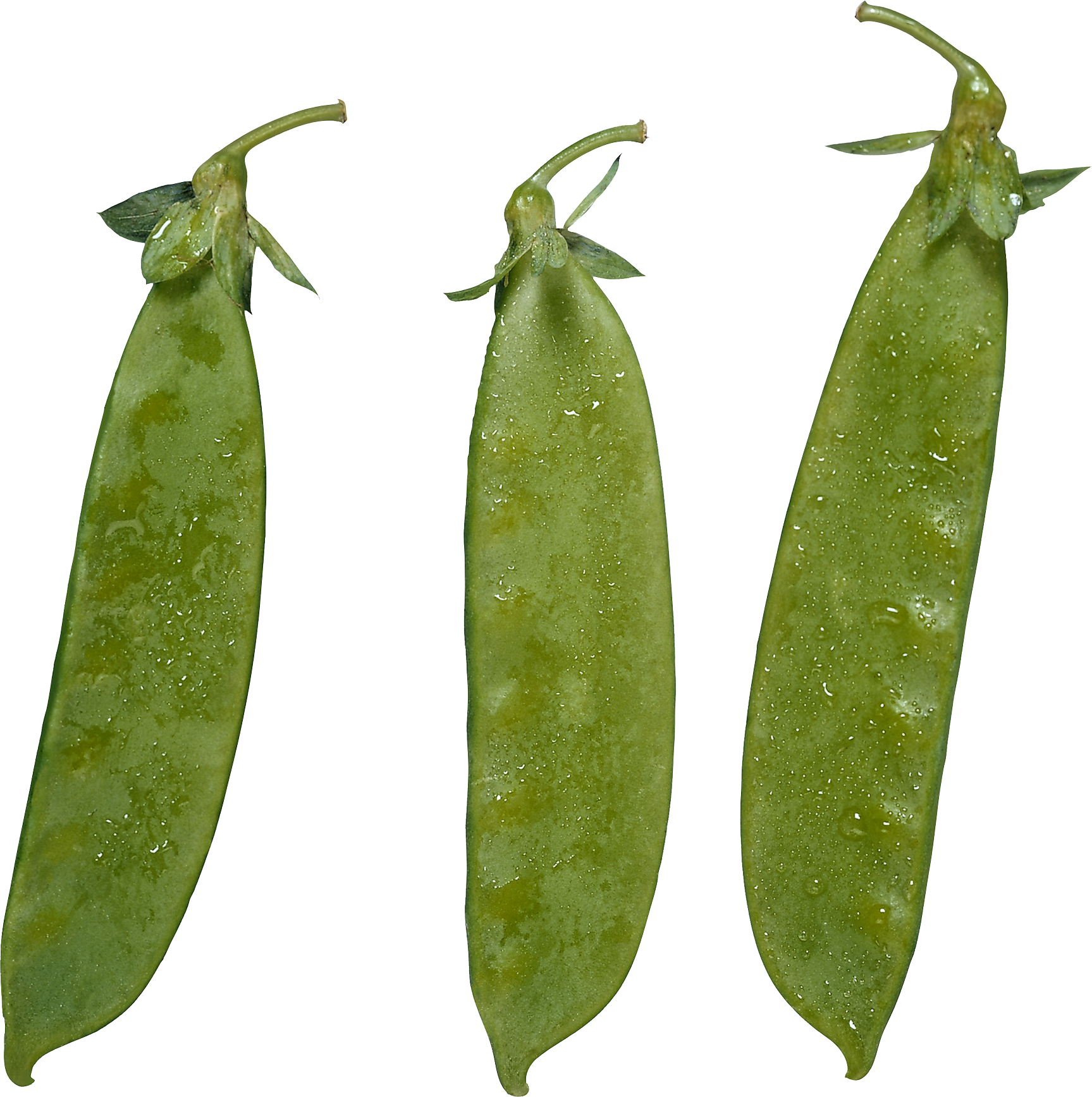 Fresh Green Peas Pods Water Droplets