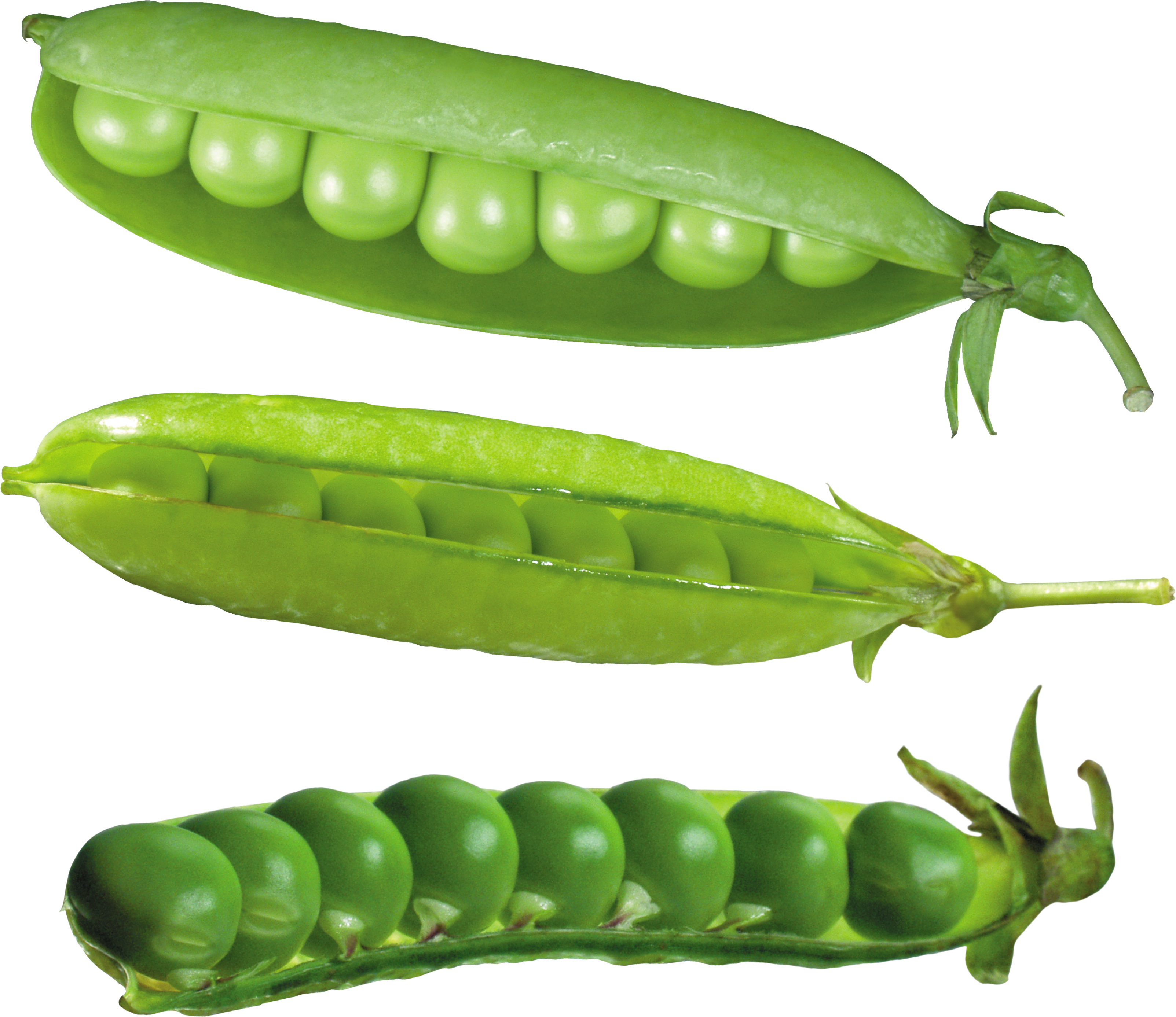 Fresh Green Peas Pods