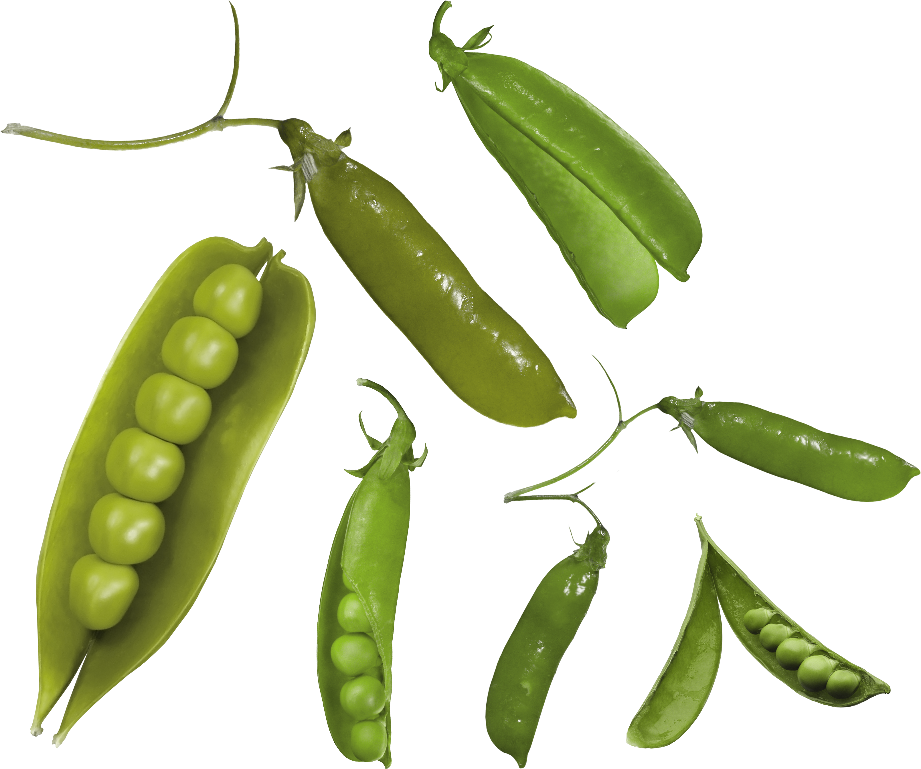 Fresh Green Peas Variety