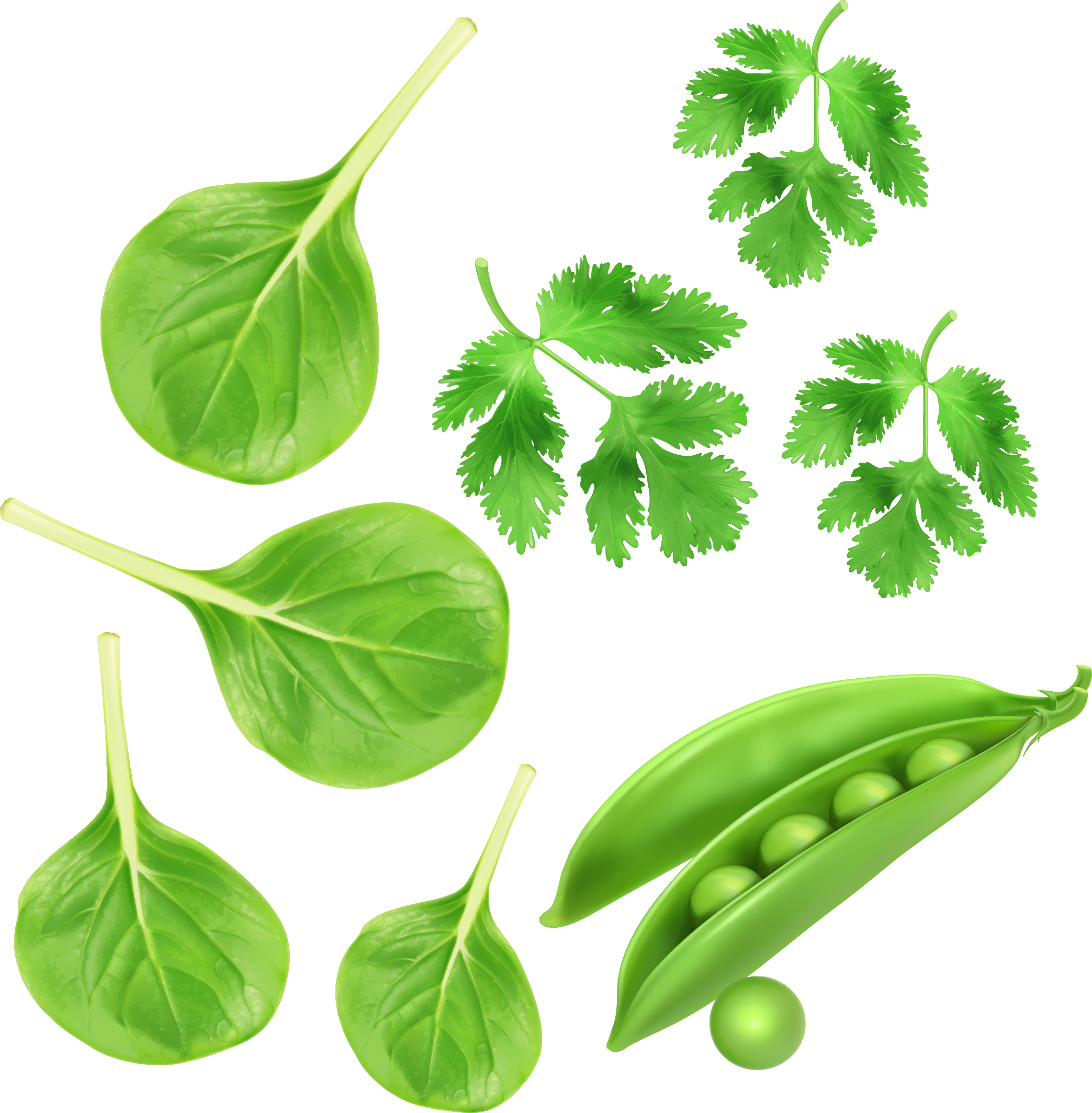 Fresh Green Peasand Leaves