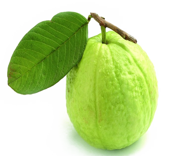 Fresh Guavawith Leaf