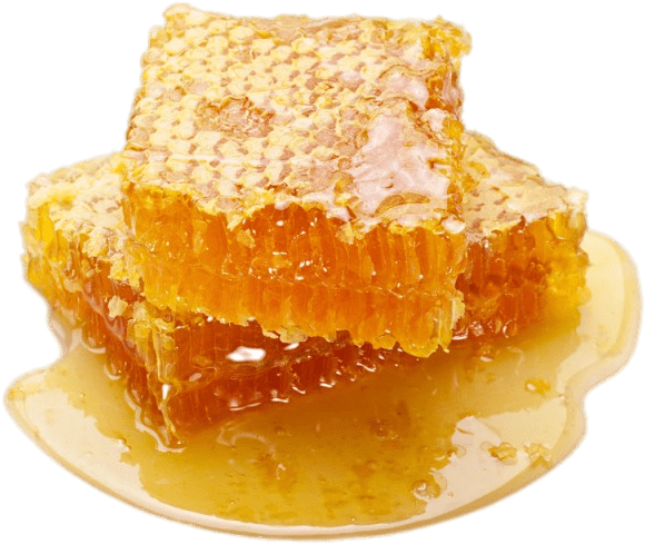 Fresh Honeycomb Piece Dripping Honey