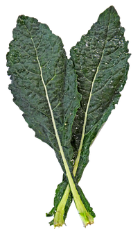 Fresh Kale Leaves Black Background