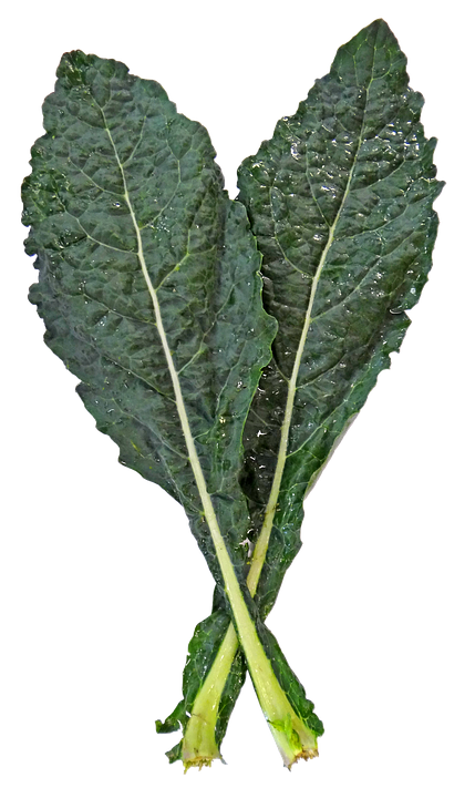 Fresh Kale Leaves