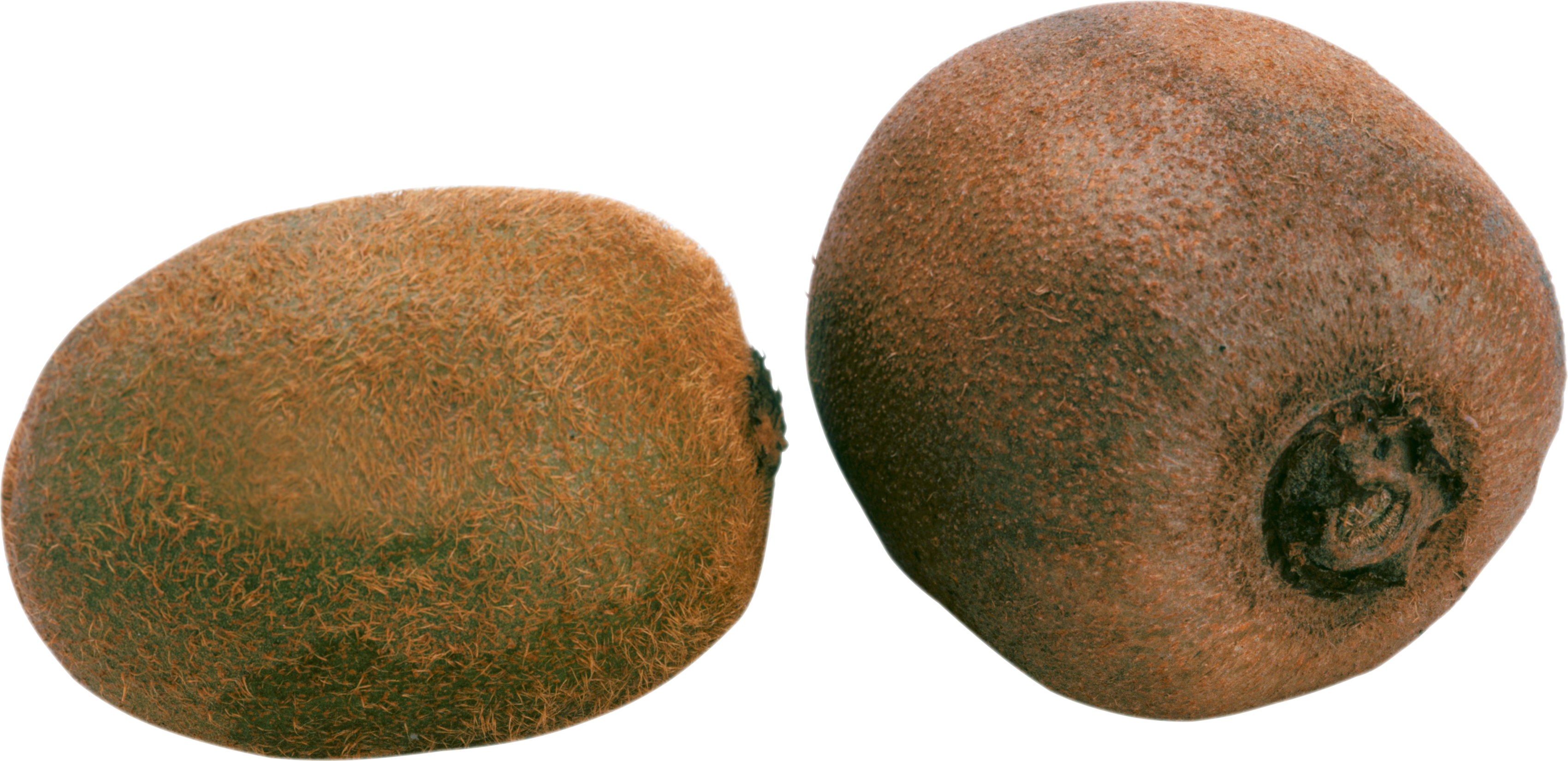 Fresh Kiwi Fruit Texture