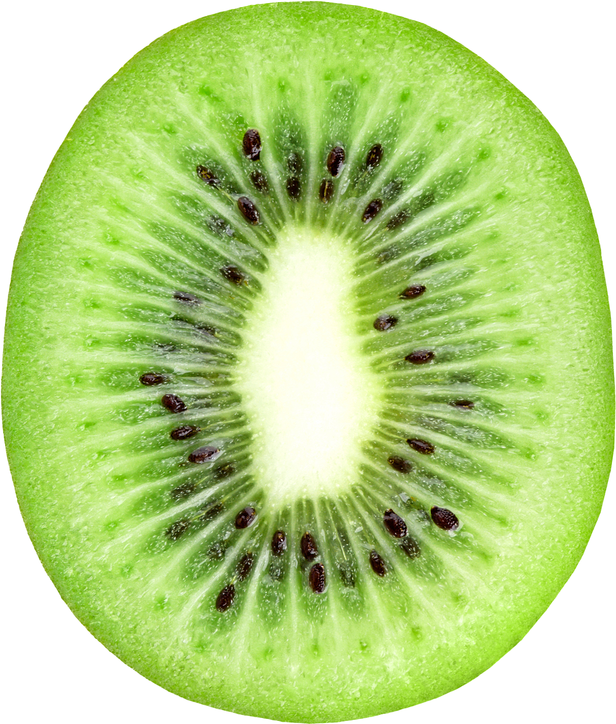 Fresh Kiwi Slice Closeup.png