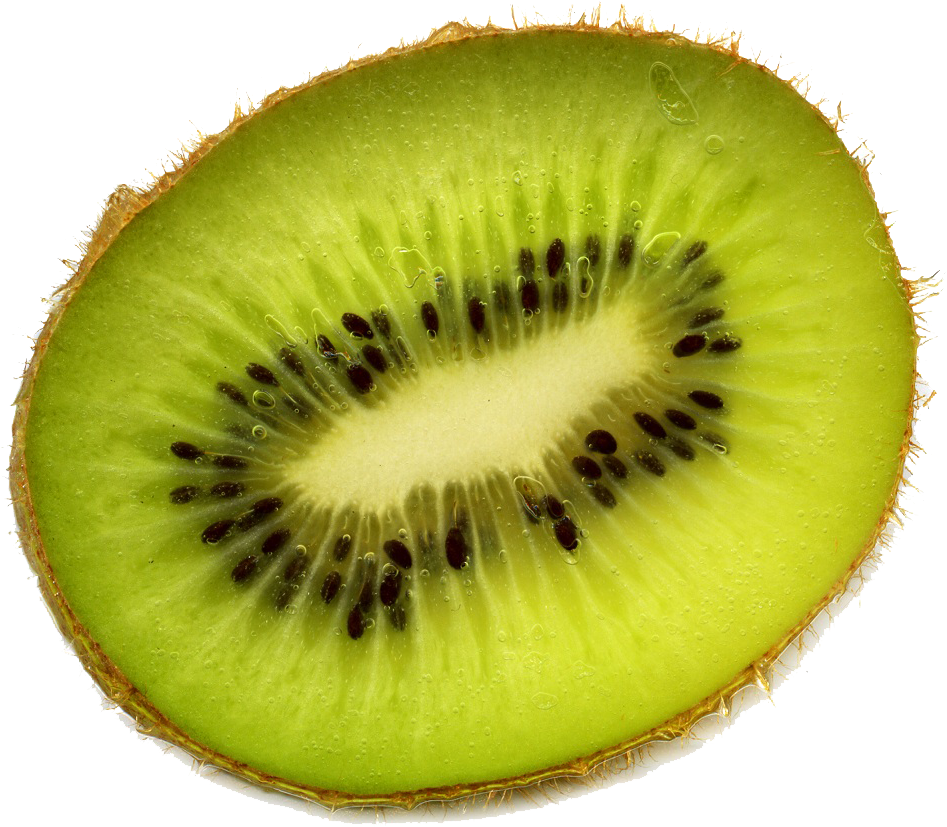 Fresh Kiwi Slice Closeup.png