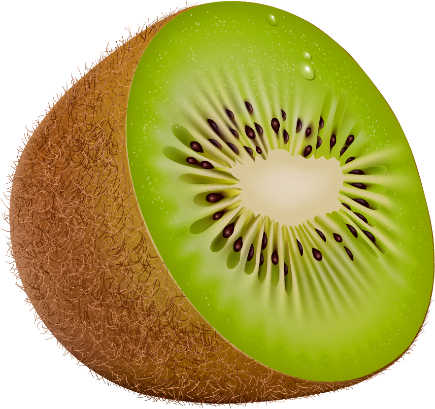 Fresh Kiwi Slice Illustration