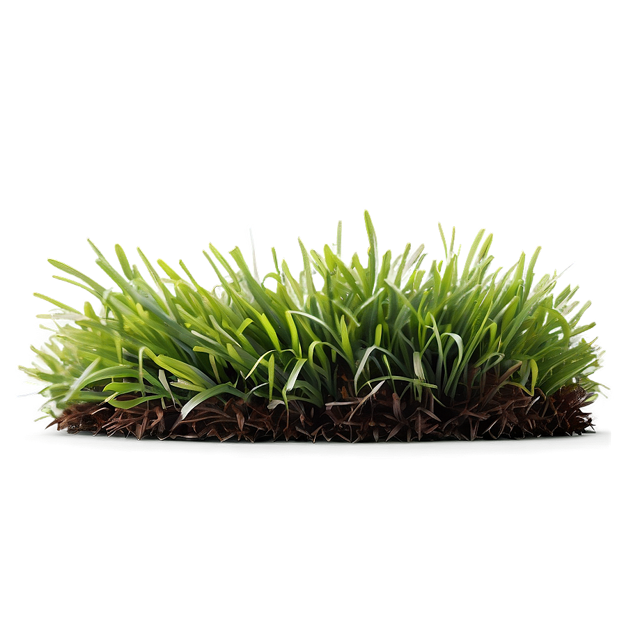 Fresh Lawn Grass Png 32