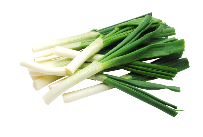 Fresh Leeks Bundle Isolated