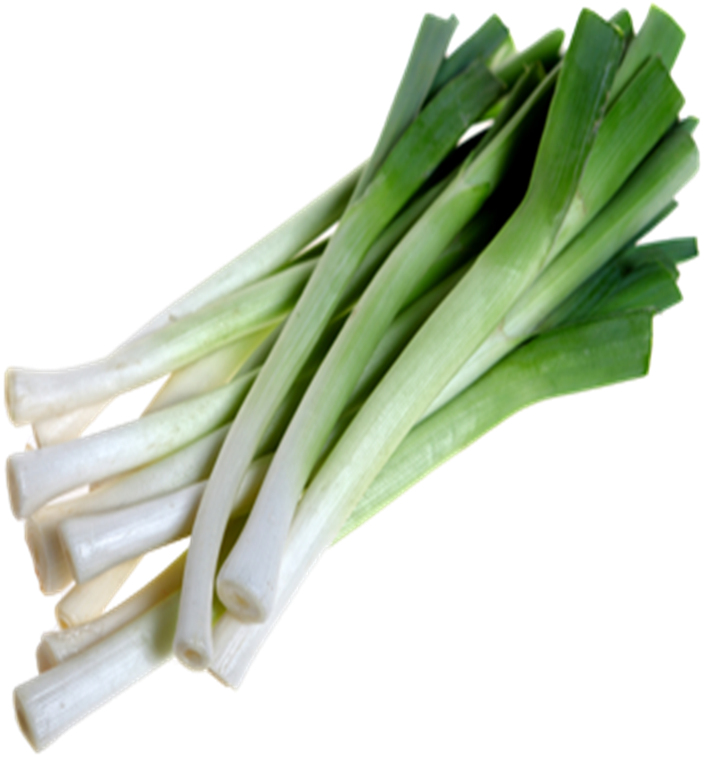 Fresh Leeks Isolated.png