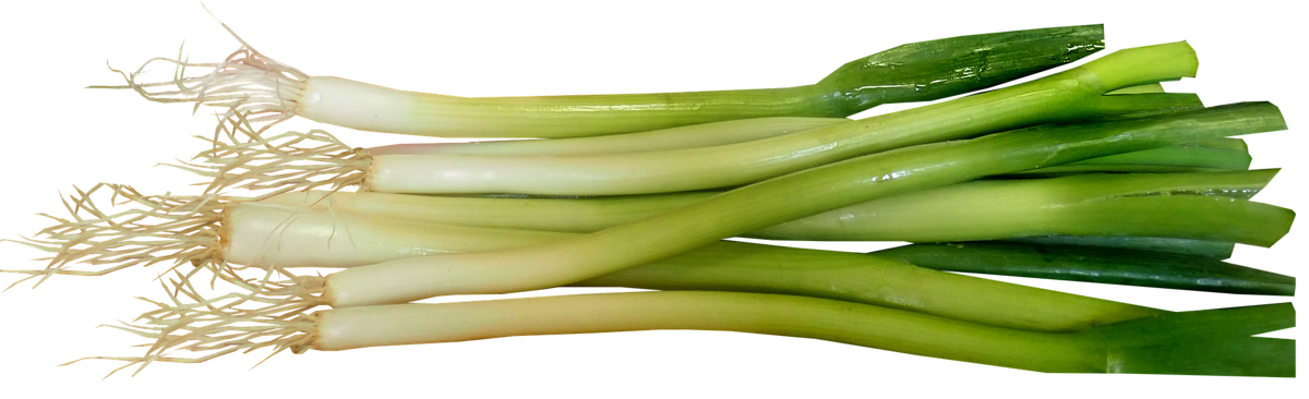 Fresh Leeks Isolatedon Background